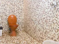 OYO Rooms North Goa Countryside