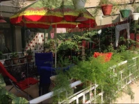 Anand House Homestay Manesar