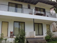 Jungle View Serenity