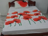 Beautiful house in Benaulium