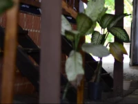 Sea Bird Beach Cafe & Cottages