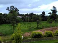 Club Katha Kanha Resort