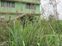 Aranyakjungal Camp 1*