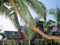 Sunny Paradise Resort 4*