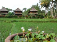 Agung Raka Resort and Villas 3*