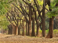 FabHotel Shivaji Nagar