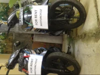 La Terrasse Guest House