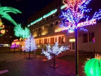 Pekinskij Sad hotel 3*