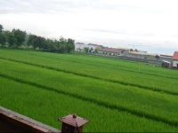 Omah Glugu Family Homestay