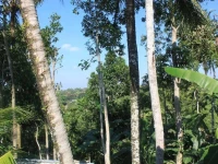 Shriman Yoga Bungalows