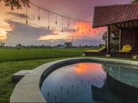 Big Brother Surf Inn