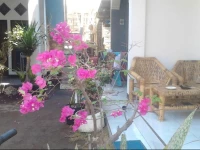 Seven Eleven Guesthouse