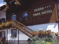 Debra Park Hotel 3*