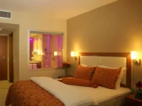 Houston Hotel Ankara 4*
