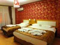 Flower Palace Hotel Istanbul 4*