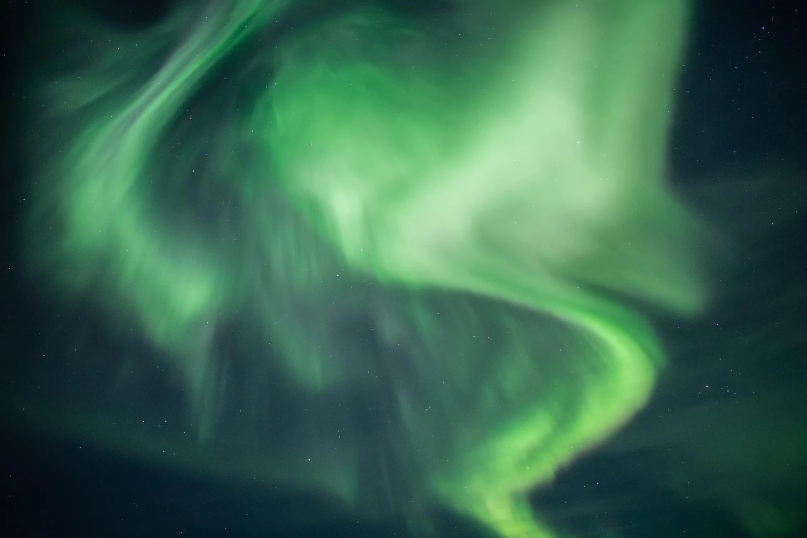 Ешь, лови, кайфуй (зима)