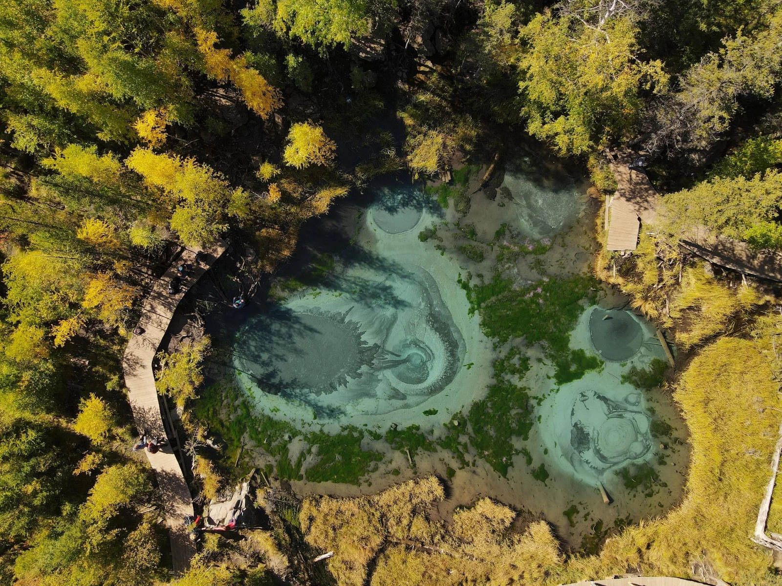 "Новосибирск - Два Алтая" путешествие жд+авто Весна