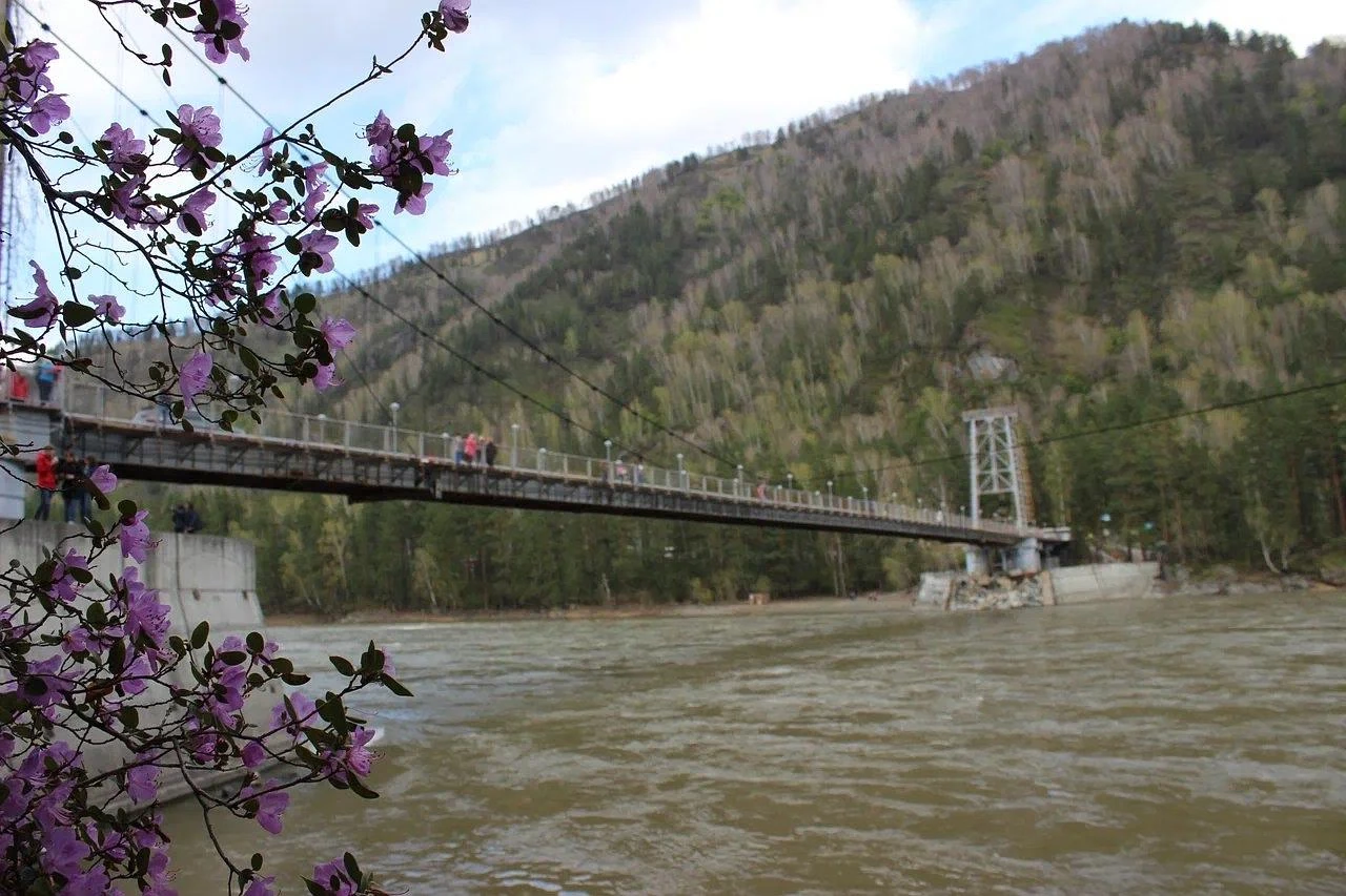 Дыхание весны в горах Алтая