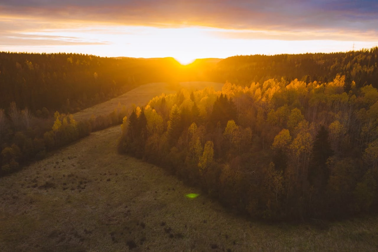 Тур с практикой цигун «Сияние истинной Я»