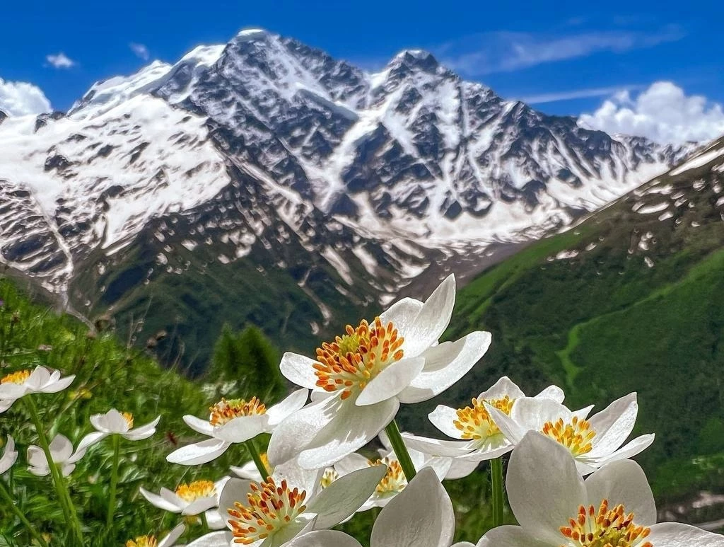 Йога-тур в Приэльбрусье