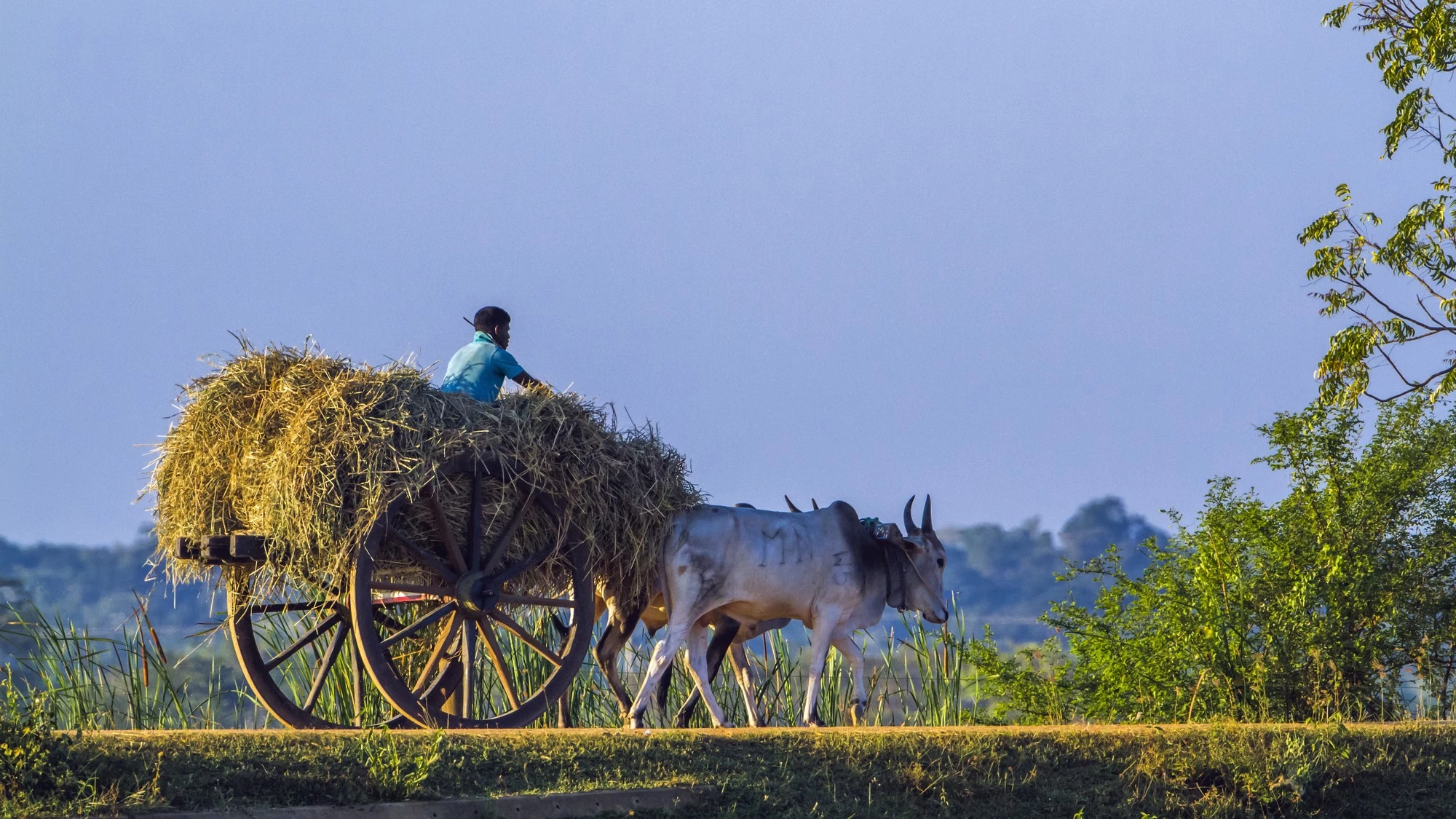 Купольные Дома