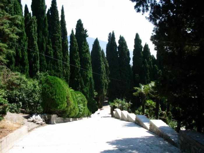 Кипарисное (Кучук-Ламбат)