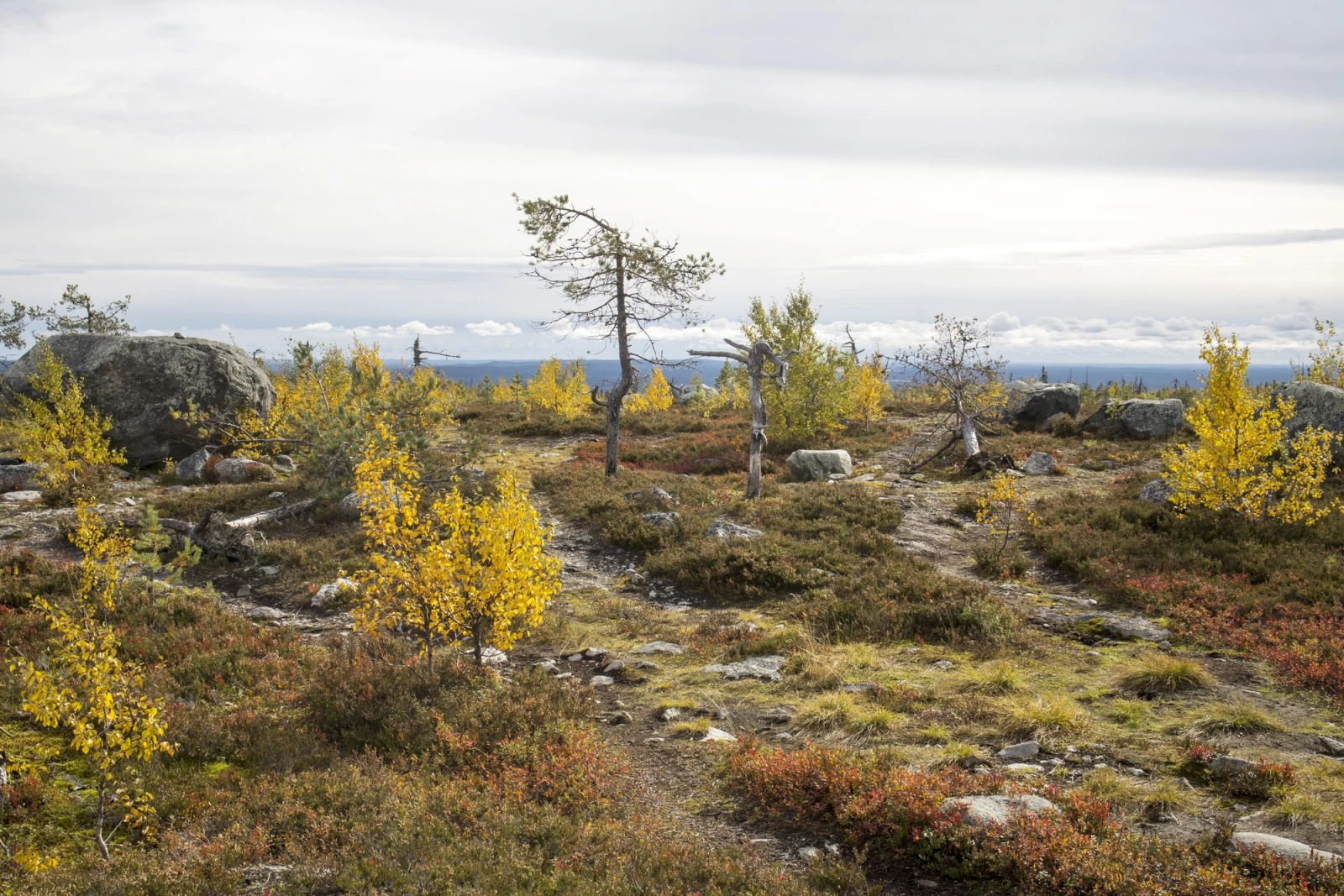 Гора Воттоваара