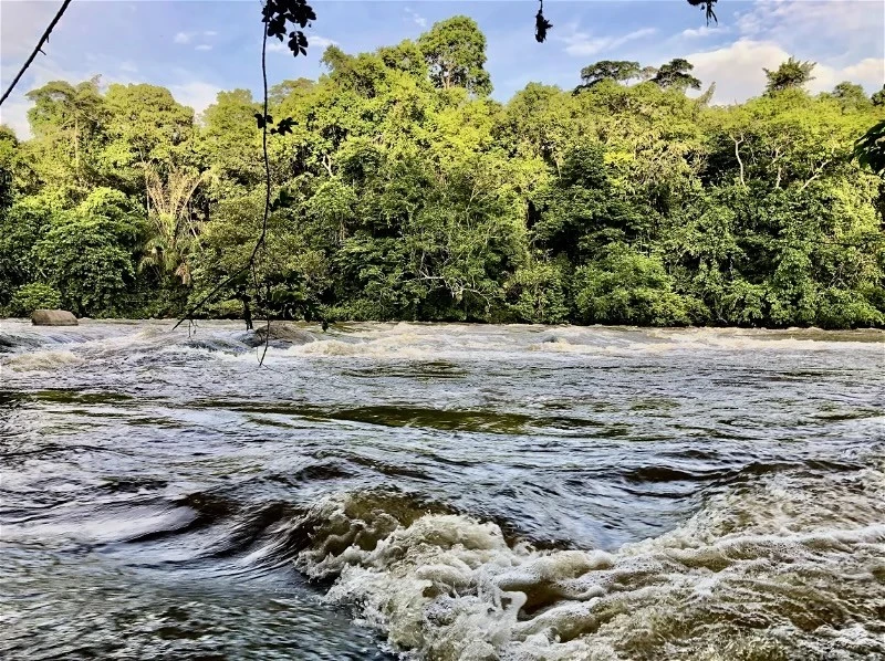Национальный парк Сапо