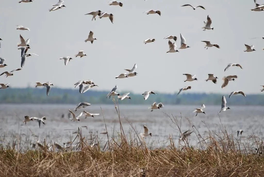 Озеро Лубанс