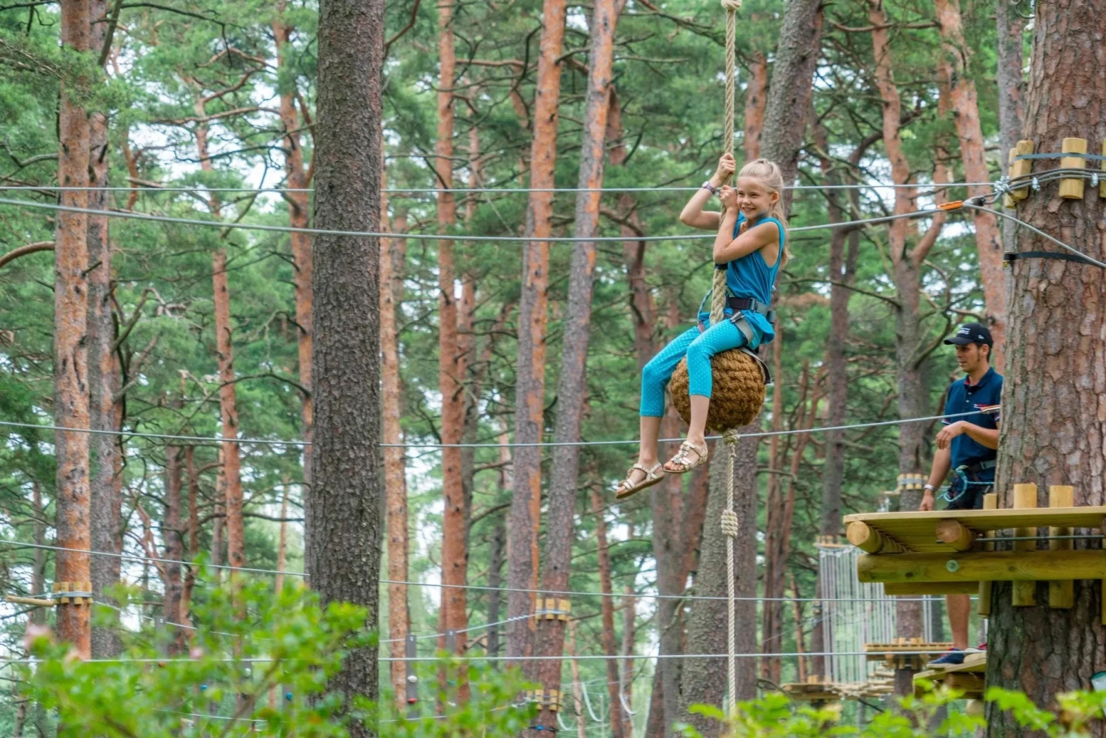 Лесной парк Дзинтари