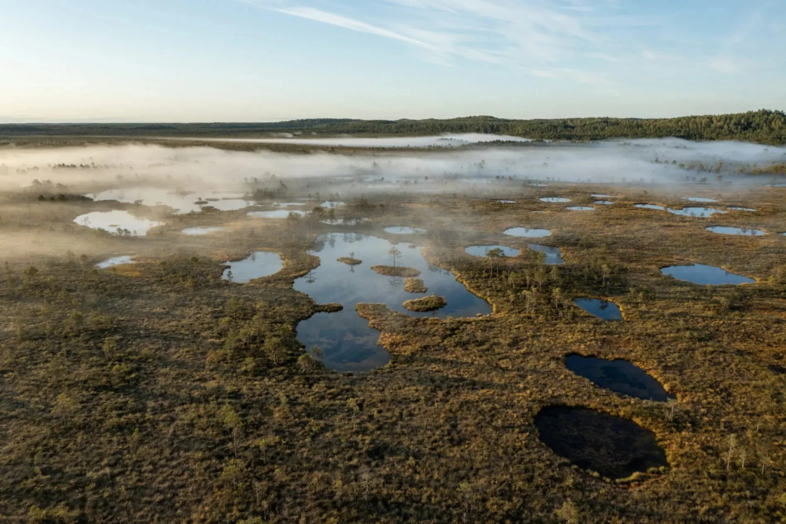 Заповедник Пыхья-Кырвемаа