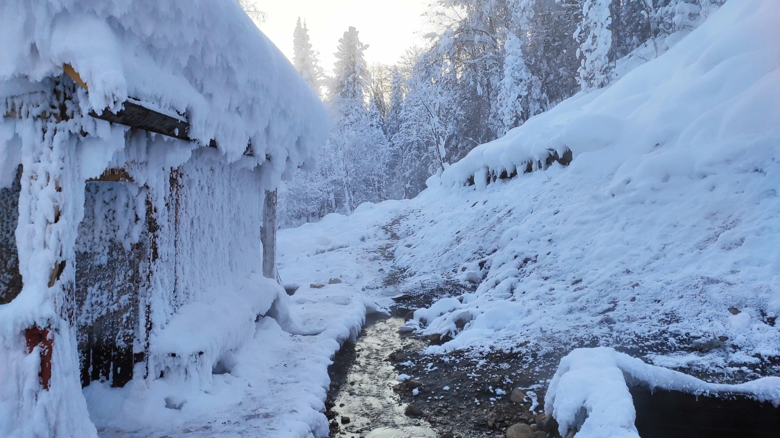 Горячие источники Дзелинда