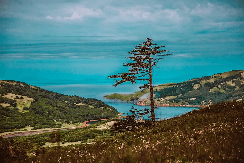 Бухта Снежкова