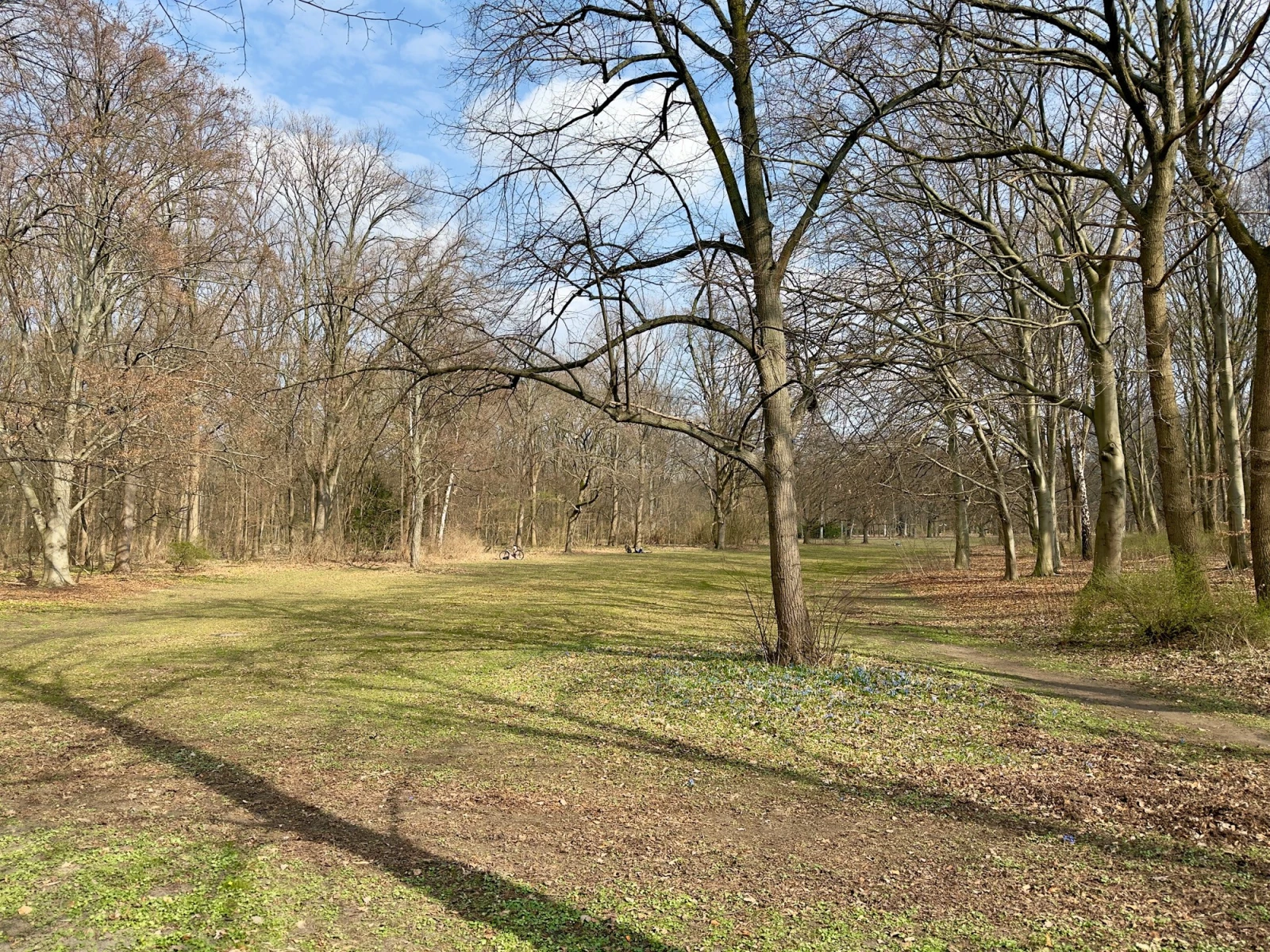 Большой Тиргартен