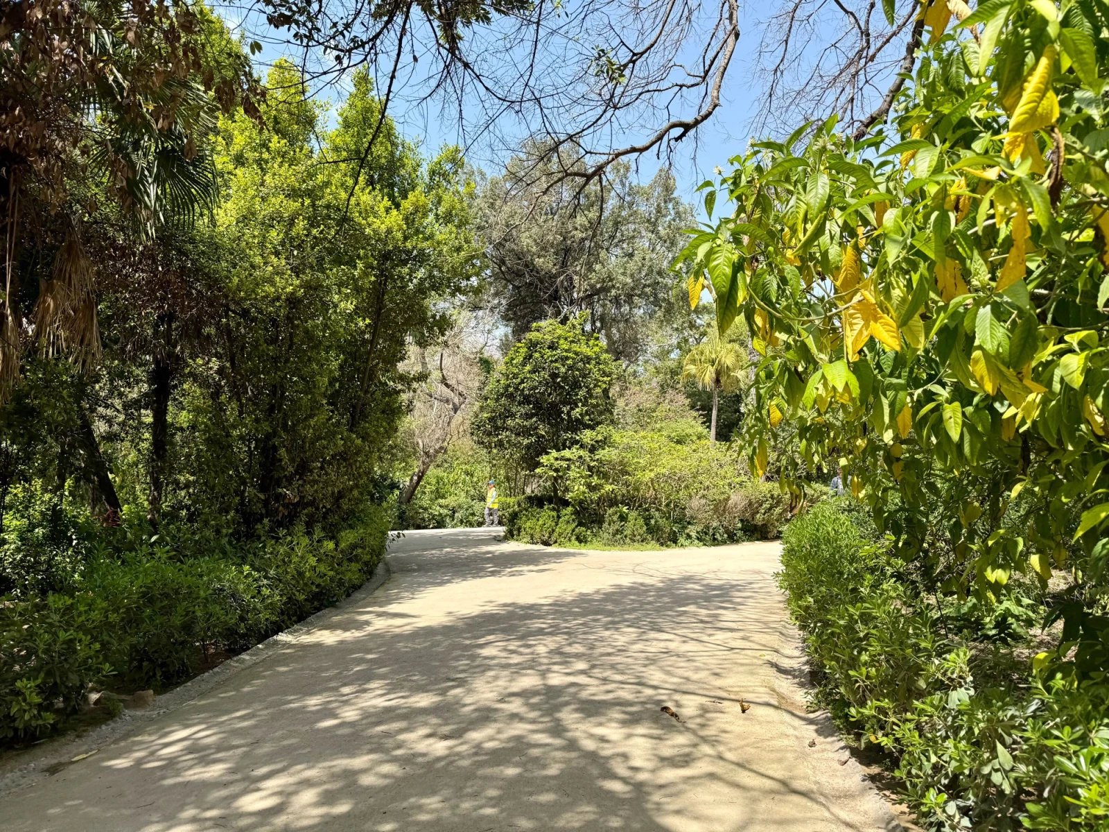 Национальный сад Афин