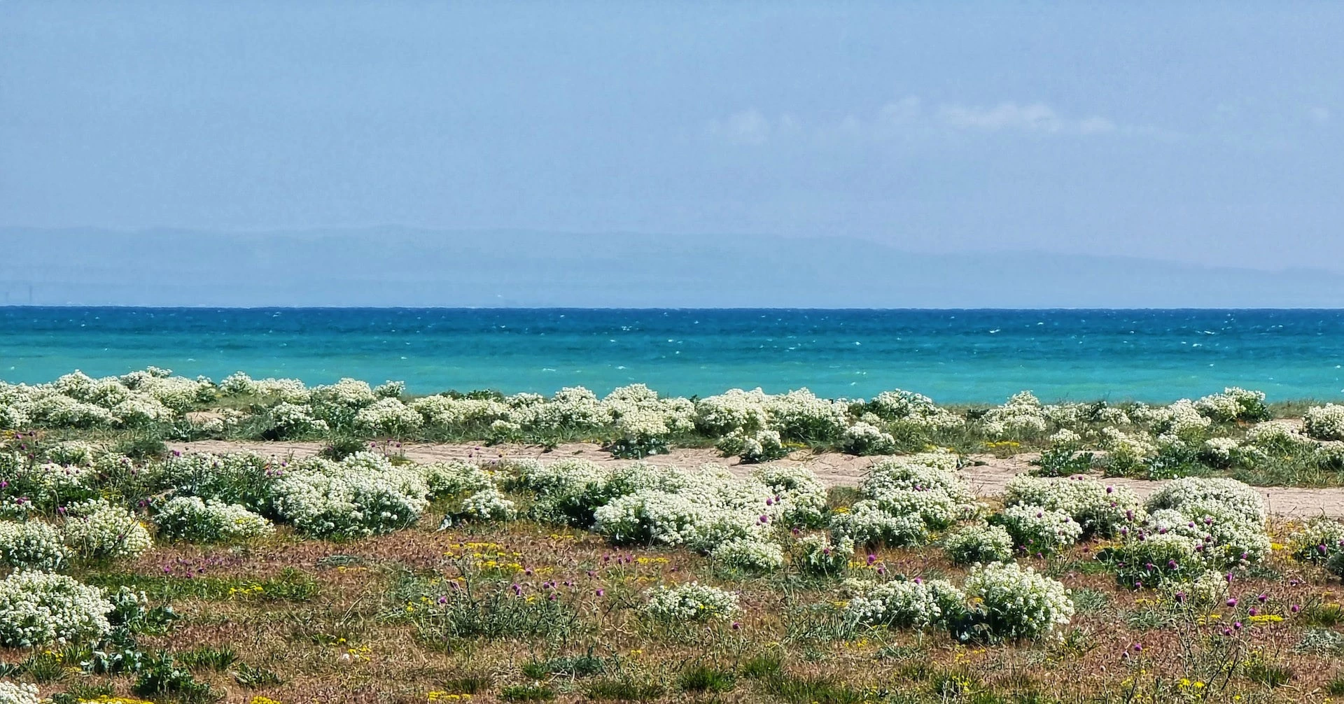 Сакский район