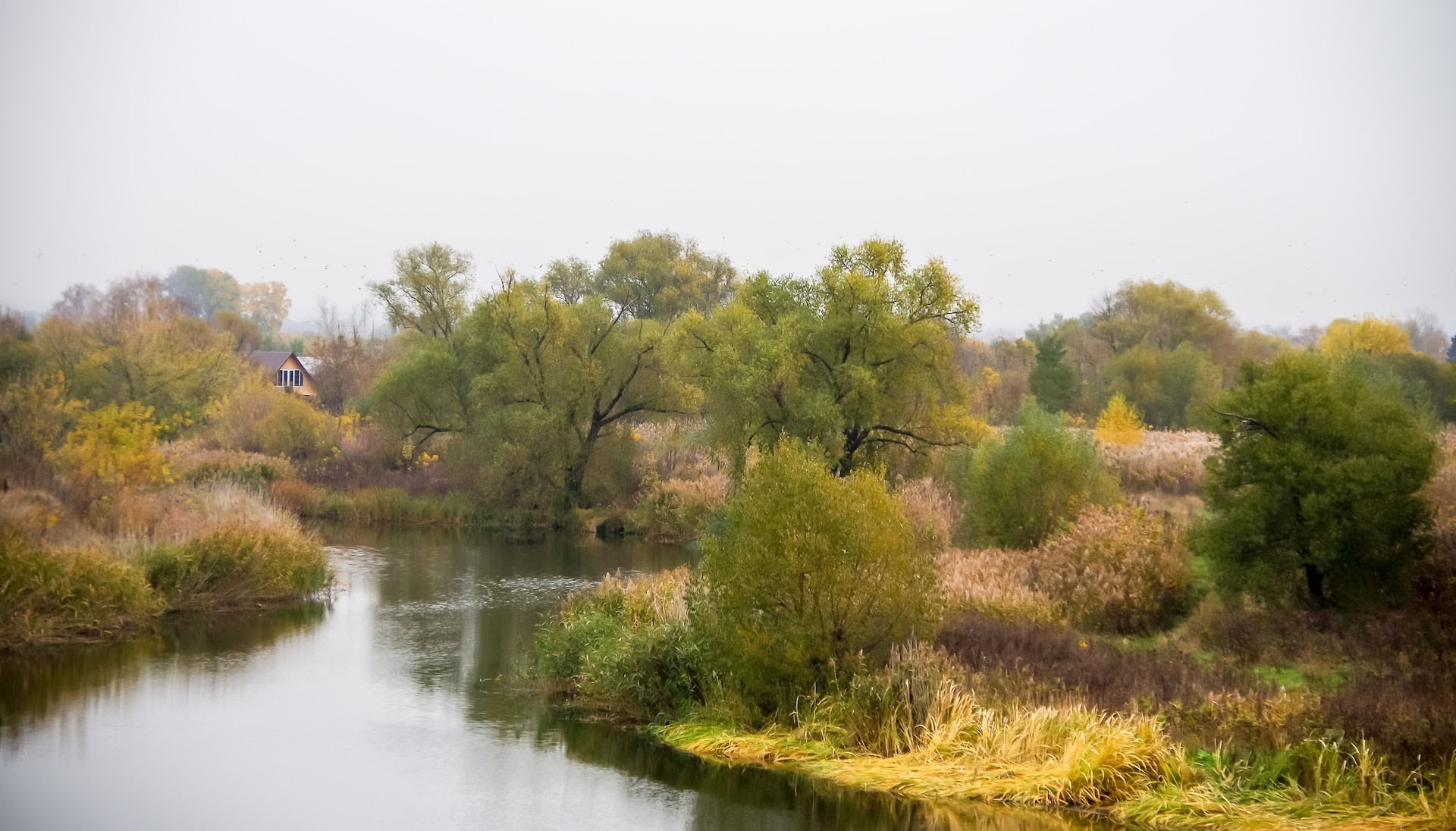 Тамбовская обл.
