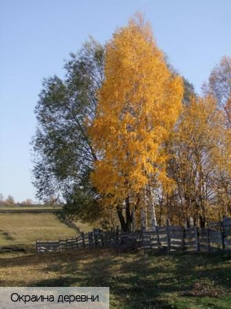 Малдыкасы деревня, Россия