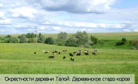 Талой деревня, Россия