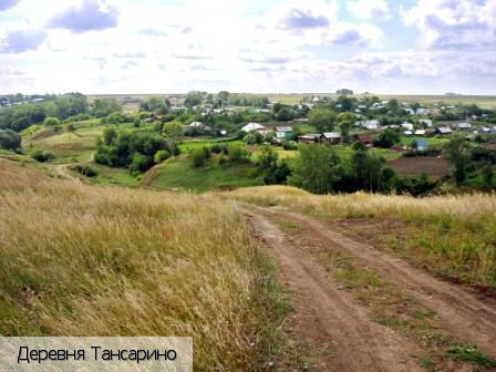 Тансарино деревня, Россия