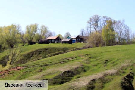 Коснары деревня, Россия