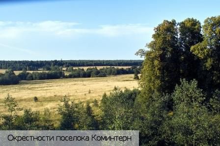 Коминтерн поселок (Шумерлинский р-н), Россия