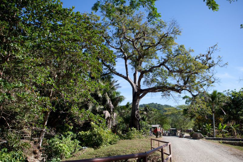 Роаринг Ривер, Ямайка