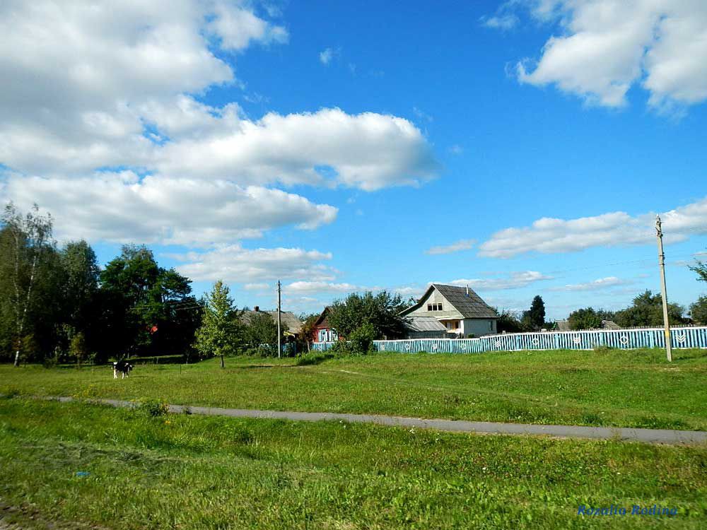 Гомельский район