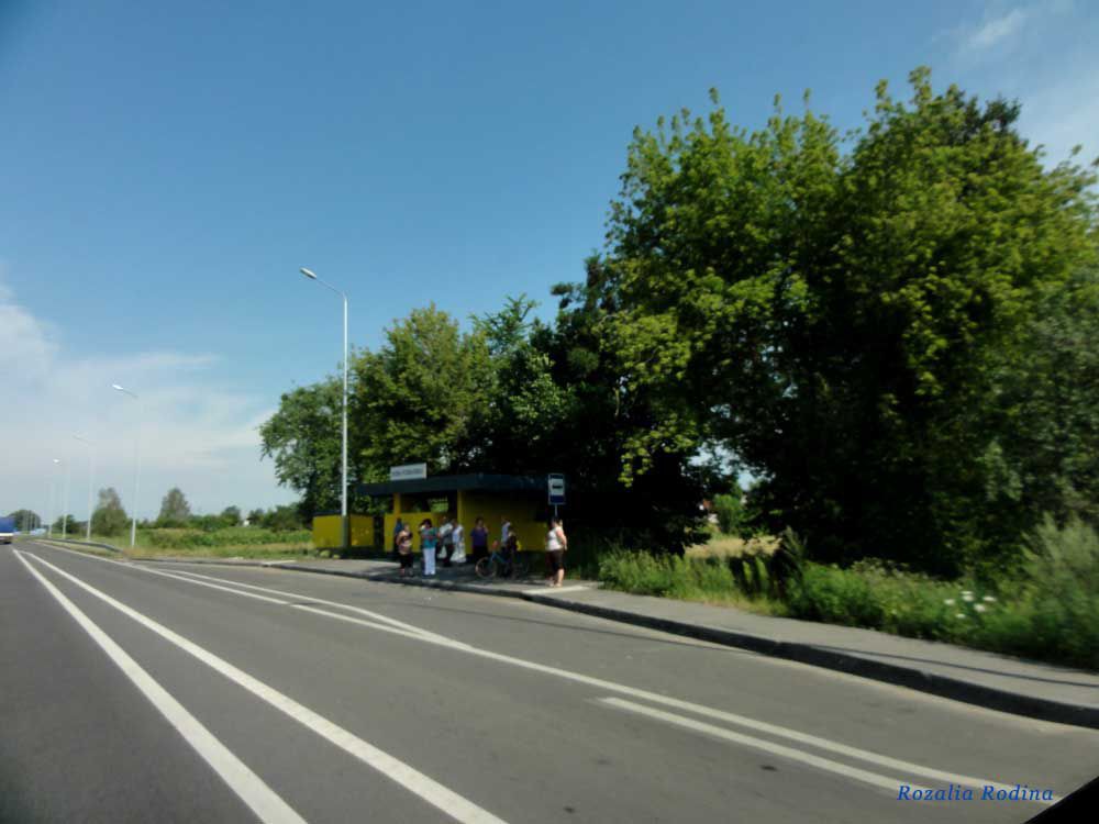 Новая Романовка, Украина