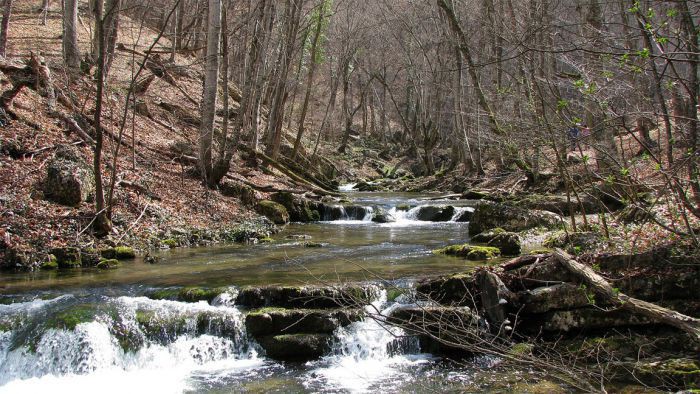 Курортное (Фриденталь, ранее Хан-Токуз), Россия