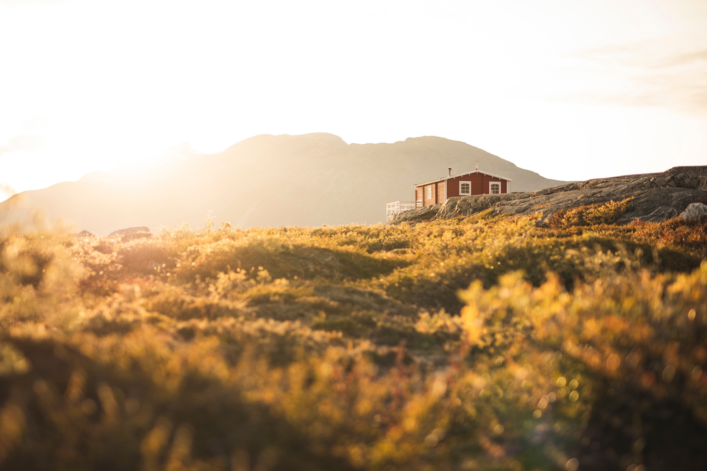 Каписиллит