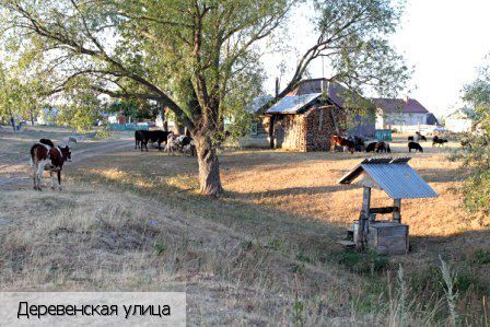 Ирх-Сирмы-Кошки деревня, Россия