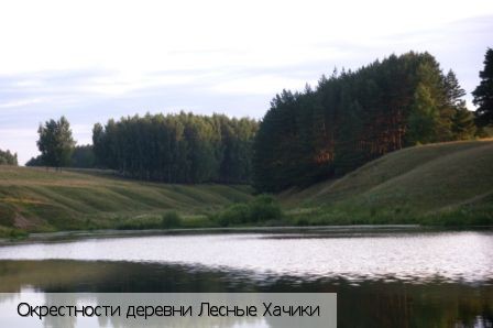 Лесные Хачики, Россия