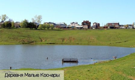 Малые Коснары, Россия